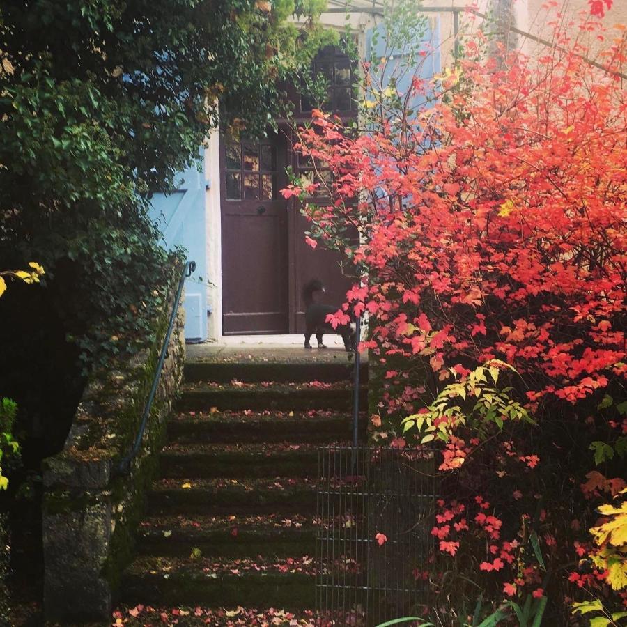 Le 7 Des Tonneliers Bed & Breakfast Castelfranc Bagian luar foto