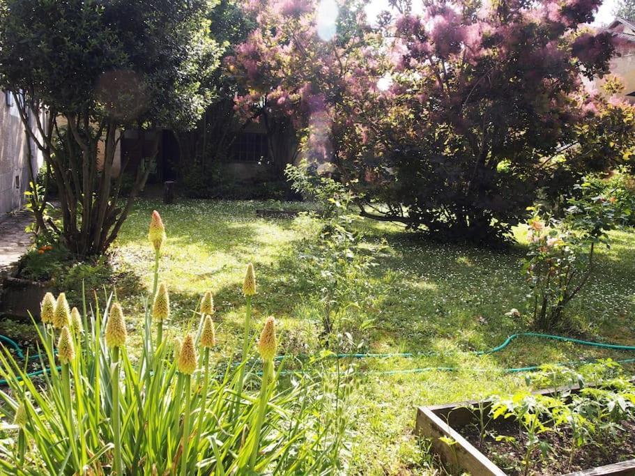 Le 7 Des Tonneliers Bed & Breakfast Castelfranc Bagian luar foto